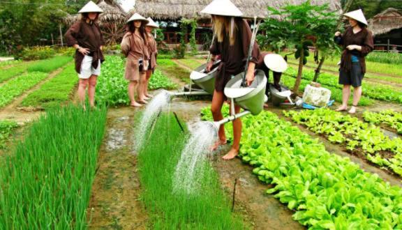 Ri'S House Hoi An Homestay ภายนอก รูปภาพ